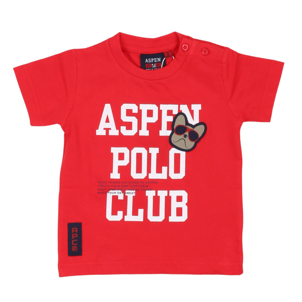 aspen polo club - T-Shirts